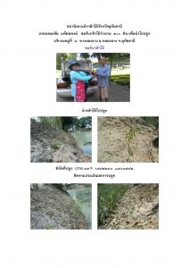 สถานีเพาะชำกล้าไม้จังหวัดอุทัยธานี- แปลงปลูกต้นไม้59 แปลงที่ 15