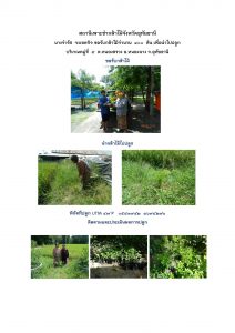 สถานีเพาะชำกล้าไม้จังหวัดอุทัยธานี- แปลงปลูกต้นไม้59 แปลงที่ 16