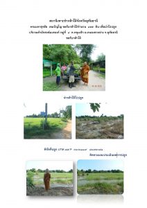 สถานีเพาะชำกล้าไม้จังหวัดอุทัยธานี- แปลงปลูกต้นไม้59 แปลงที่ 17