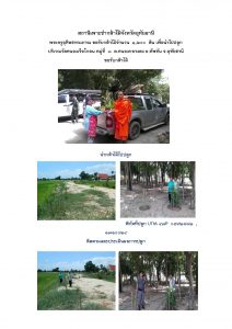 สถานีเพาะชำกล้าไม้จังหวัดอุทัยธานี- แปลงปลูกต้นไม้59 แปลงที่ 19