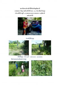 สถานีเพาะชำกล้าไม้จังหวัดอุทัยธานี- แปลงปลูกต้นไม้59 แปลงที่ 20