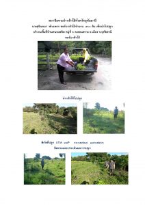 สถานีเพาะชำกล้าไม้จังหวัดอุทัยธานี- แปลงปลูกต้นไม้59 แปลงที่ 21