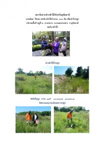 สถานีเพาะชำกล้าไม้จังหวัดอุทัยธานี- แปลงปลูกต้นไม้59 แปลงที่ 22