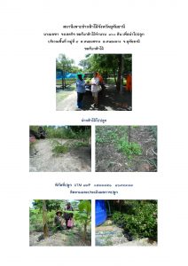 สถานีเพาะชำกล้าไม้จังหวัดอุทัยธานี- แปลงปลูกต้นไม้59 แปลงที่ 23