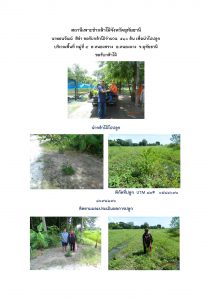 สถานีเพาะชำกล้าไม้จังหวัดอุทัยธานี- แปลงปลูกต้นไม้59 แปลงที่ 24