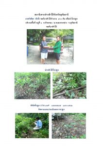 สถานีเพาะชำกล้าไม้จังหวัดอุทัยธานี- แปลงปลูกต้นไม้59 แปลงที่ 26