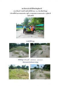 สถานีเพาะชำกล้าไม้จังหวัดอุทัยธานี- แปลงปลูกต้นไม้59 แปลงที่ 28