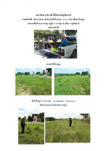 สถานีเพาะชำกล้าไม้จังหวัดอุทัยธานี- แปลงปลูกต้นไม้59 แปลงที่ 29