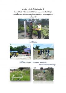 สถานีเพาะชำกล้าไม้จังหวัดอุทัยธานี- แปลงปลูกต้นไม้59 แปลงที่ 31