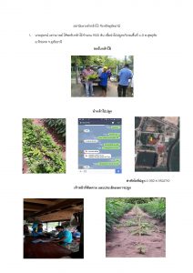 สถานีเพาะชำกล้าไม้จังหวัดอุทัยธานี-แปลงปลูกต้นไม้59_Page_1