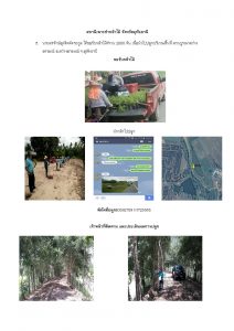 สถานีเพาะชำกล้าไม้จังหวัดอุทัยธานี-แปลงปลูกต้นไม้59_Page_3