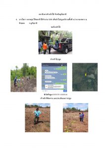 สถานีเพาะชำกล้าไม้จังหวัดอุทัยธานี-แปลงปลูกต้นไม้59_Page_4