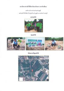 สถานีเพาะชำกล้าไม้จังหวัดฉะเชิงเทรา เขาหินซ้อน-แปลงปลูก59_Page_1