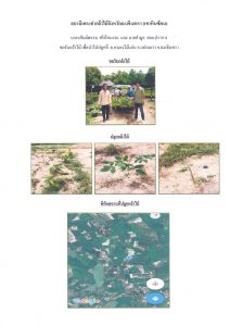 สถานีเพาะชำกล้าไม้จังหวัดฉะเชิงเทรา เขาหินซ้อน-แปลงปลูก59_Page_2