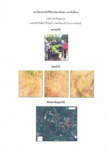 สถานีเพาะชำกล้าไม้จังหวัดฉะเชิงเทรา เขาหินซ้อน-แปลงปลูก59_Page_3