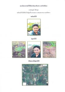 สถานีเพาะชำกล้าไม้จังหวัดฉะเชิงเทรา เขาหินซ้อน-แปลงปลูก59_Page_4