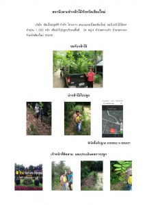 สถานีเพาะชำกล้าไม้จังหวัดเชียงใหม่-แปลงปลูก59 แปลงที่ 1