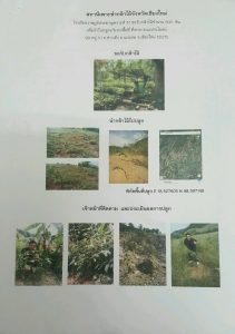 สถานีเพาะชำกล้าไม้จังหวัดเชียงใหม่-แปลงปลูก59 แปลงที่ 3