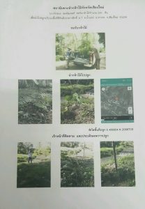 สถานีเพาะชำกล้าไม้จังหวัดเชียงใหม่-แปลงปลูก59 แปลงที่ 4