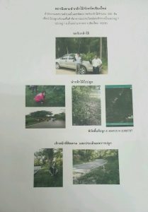 สถานีเพาะชำกล้าไม้จังหวัดเชียงใหม่-แปลงปลูก59 แปลงที่ 5