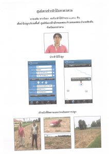 ศูนย์เพาะชำกล้าไม้มหาสารคาม- แปลงปลูกต้นไม้59 แปลงที่ 4