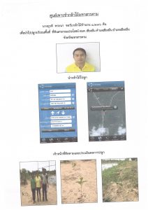 ศูนย์เพาะชำกล้าไม้มหาสารคาม- แปลงปลูกต้นไม้59 แปลงที่ 6