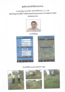 ศูนย์เพาะชำกล้าไม้มหาสารคาม- แปลงปลูกต้นไม้59 แปลงที่ 8