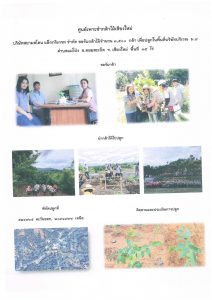 ศูนย์เพาะชำกล้าไม้เชียงใหม่- แปลงปลูกต้นไม้59 แปลงที่ 1