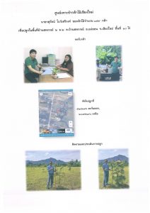 ศูนย์เพาะชำกล้าไม้เชียงใหม่- แปลงปลูกต้นไม้59 แปลงที่ 2