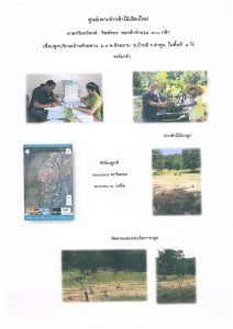 ศูนย์เพาะชำกล้าไม้เชียงใหม่- แปลงปลูกต้นไม้59 แปลงที่ 3