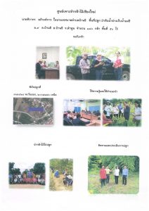 ศูนย์เพาะชำกล้าไม้เชียงใหม่- แปลงปลูกต้นไม้59 แปลงที่ 5