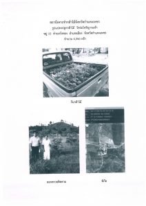 แปลงปลูกต้นไม้ของผู้รับกล้าไม้-แปลงที่ 2