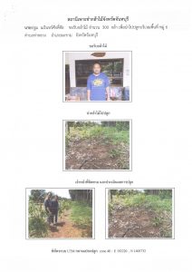 สถานีเพาะชำกล้าไม้จังหวัดจันทบุรี-แปลงปลูก59 แปลงที่ 1