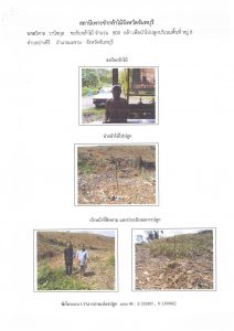 สถานีเพาะชำกล้าไม้จังหวัดจันทบุรี-แปลงปลูก59 แปลงที่ 2