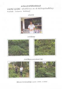 สถานีเพาะชำกล้าไม้จังหวัดจันทบุรี-แปลงปลูก59 แปลงที่ 3