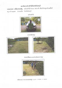 สถานีเพาะชำกล้าไม้จังหวัดจันทบุรี-แปลงปลูก59 แปลงที่ 4