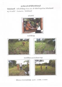 สถานีเพาะชำกล้าไม้จังหวัดจันทบุรี-แปลงปลูก59 แปลงที่ 7