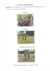 สถานีเพาะชำกล้าไม้จังหวัดจันทบุรี-แปลงปลูก59 แปลงที่ 8