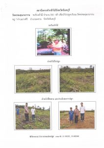 สถานีเพาะชำกล้าไม้จังหวัดจันทบุรี-แปลงปลูก59 แปลงที่ 9