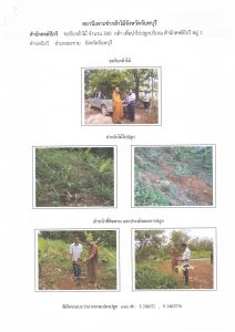 สถานีเพาะชำกล้าไม้จังหวัดจันทบุรี-แปลงปลูก59 แปลงที่ 12