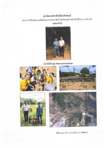 สถานีเพาะชำกล้าไม้จังหวัดชลบุรี-แปลงปลูก59 แปลงที่ 1