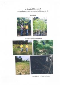 สถานีเพาะชำกล้าไม้จังหวัดชลบุรี-แปลงปลูก59 แปลงที่ 2