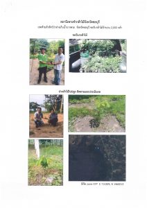 สถานีเพาะชำกล้าไม้จังหวัดชลบุรี-แปลงปลูก59 แปลงที่ 3