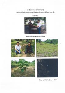 สถานีเพาะชำกล้าไม้จังหวัดชลบุรี-แปลงปลูก59 แปลงที่ 4