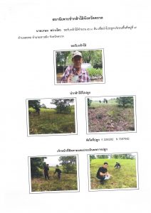 สถานีเพาะชำกล้าไม้จังหวัดตราด-แปลงปลูก59 แปลงที่ 2