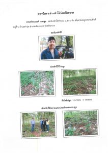 สถานีเพาะชำกล้าไม้จังหวัดตราด-แปลงปลูก59 แปลงที่ 4