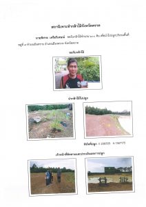 สถานีเพาะชำกล้าไม้จังหวัดตราด-แปลงปลูก59 แปลงที่ 5