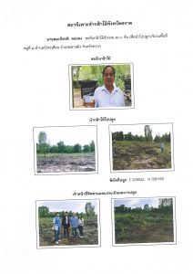 สถานีเพาะชำกล้าไม้จังหวัดตราด-แปลงปลูก59 แปลงที่ 6