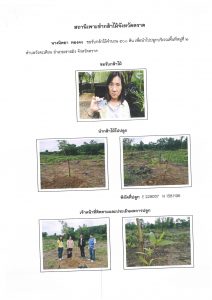 สถานีเพาะชำกล้าไม้จังหวัดตราด-แปลงปลูก59 แปลงที่ 7