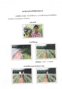 สถานีเพาะชำกล้าไม้จังหวัดตราด-แปลงปลูก59 แปลงที่ 8